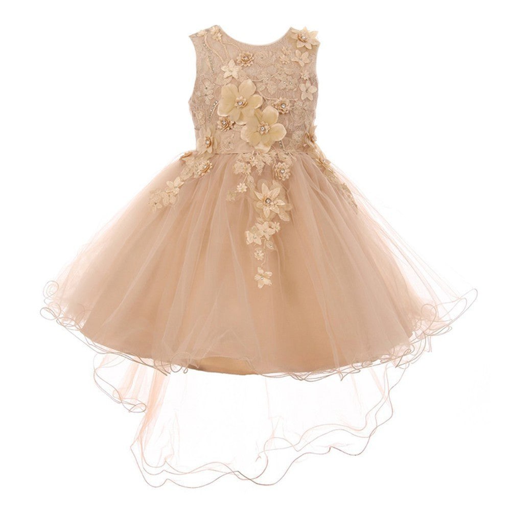 Little Girls Taupe 3D Floral Appliques Hi-Low Tulle Flower Girl Dress 2-6