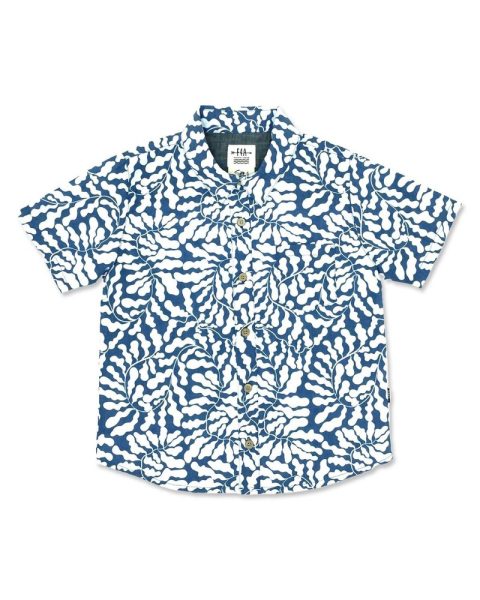 Boys’ Button Down Shirt In Kelp