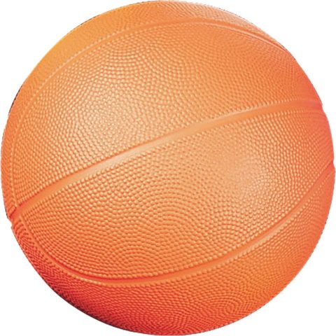 Champion Sports Coated High Density Foam BasketBall