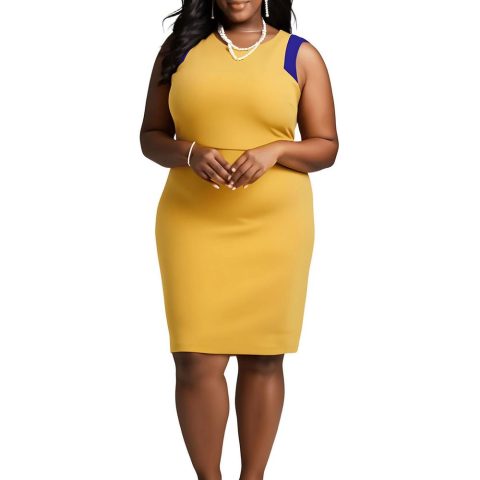 Body Con Boat Neck Sheath Dress