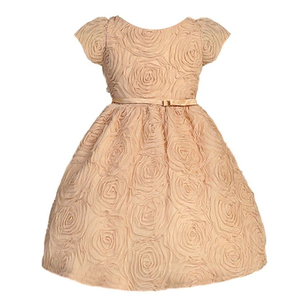 Baby Girls Rosette Textured Flower Girl Dress 6-24M