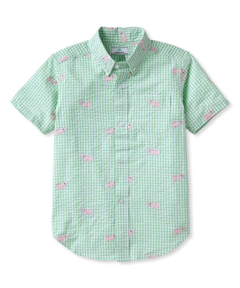 Classic Prep Boys Apple Green Gingham Button Down Short Sleeve Size: 6-14 Years 7805843275836